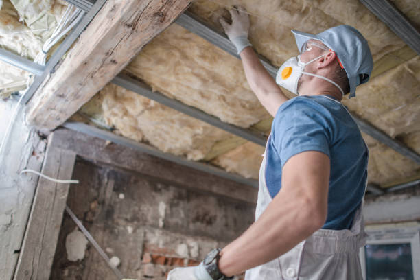 Best Cellulose Insulation in Milford, IN
